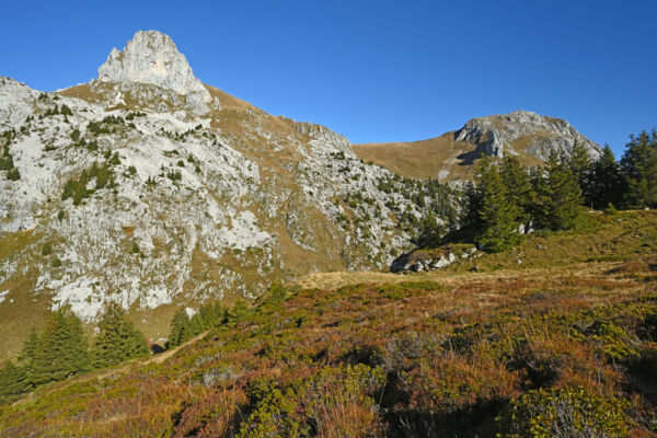 Im Chablais zu den Cornettes de Bise