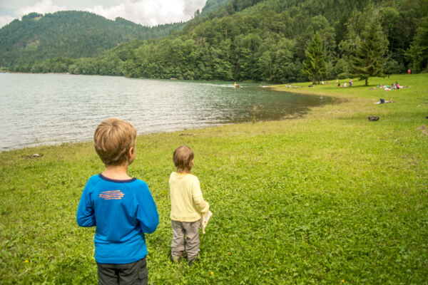 Eine eiskalte Sommergeschichte