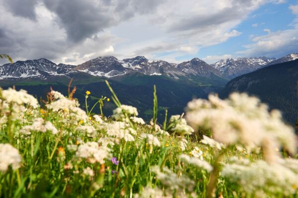 Wandertag Graubünden: Ausblicke vom Mattjisch Horn