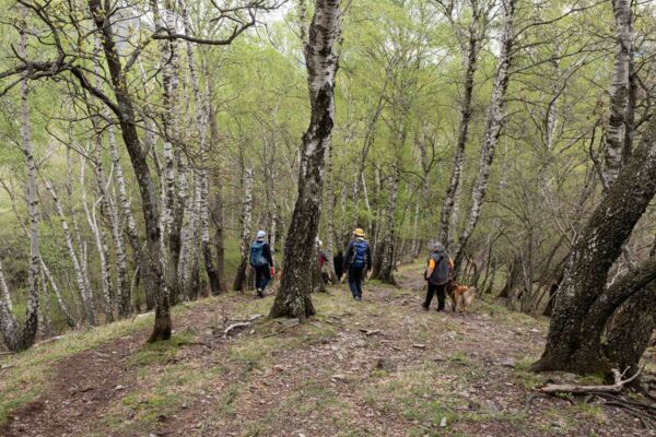Une rando, quatre châtaigneraies au Tessin