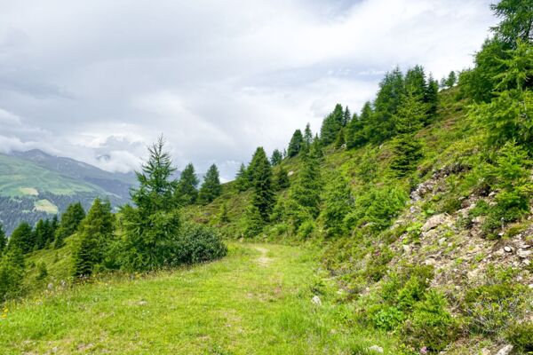 Circuit de randonnée sur le Rinerhorn