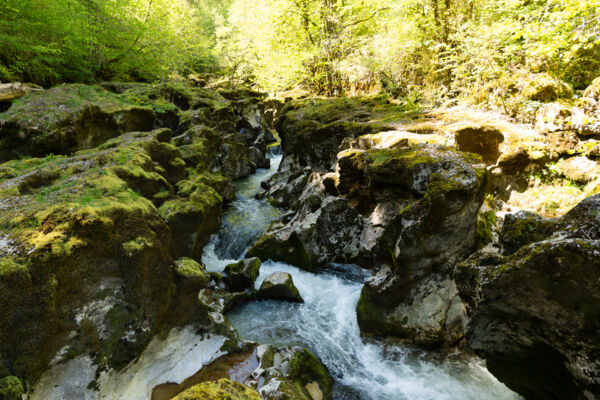 Durch die grüne Schlucht: die Gorges de l’Orbe