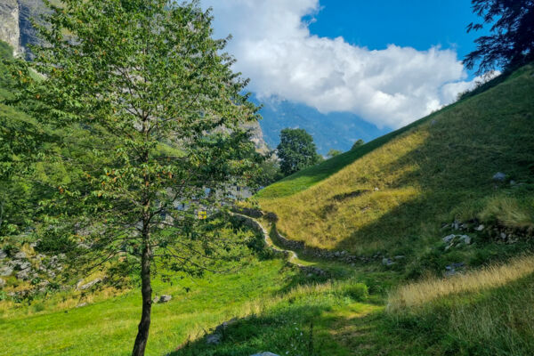 Un parfum frontalier au Simplon