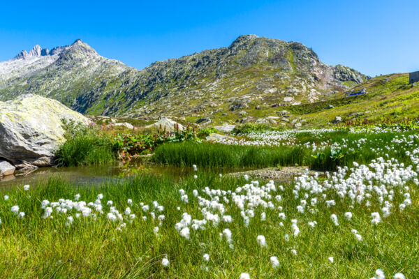 Entre agitation et calme au col du Grimsel