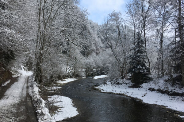 Dans les gorges de la Schwarzwasser