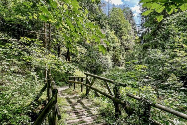 Au fil du Tabeillon dans les Franches Montagnes