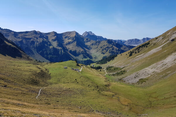 Vue au sommet dans le Diemtigtal