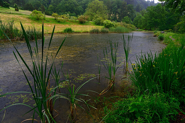 Le long de l’Aubonne sauvage