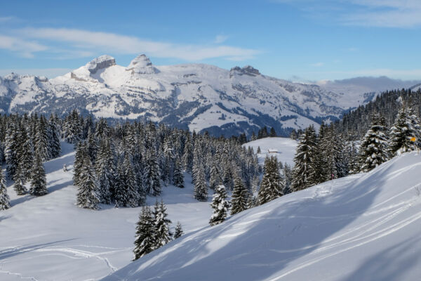 Les Alpes vaudoises en hiver