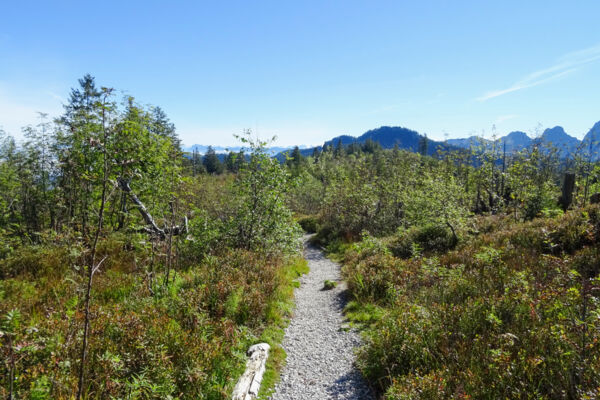 Abwechslungsreicher Höhenweg im Gantrischgebiet