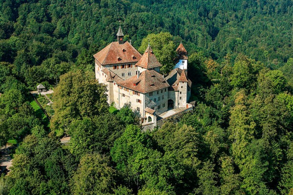 Von der Stadt durch den Wald auf die Kyburg