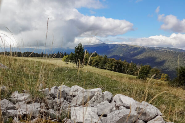 Ausflug auf den Mont-Sujet