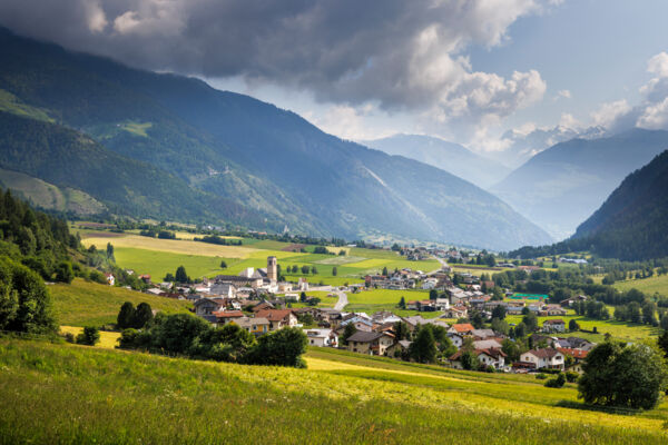 Blütenpracht hoch über dem Val Müstair