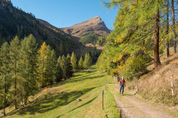 Aussichtstour auf die Wiesner Alp