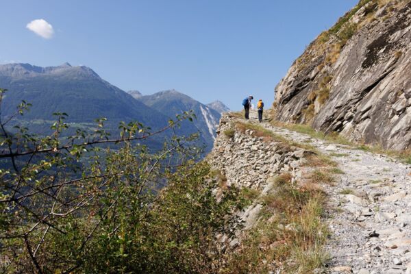 Im Land der Heuschrecken von Jeizinen