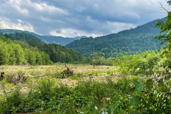 Abenteuer an der ursprünglichen Sense