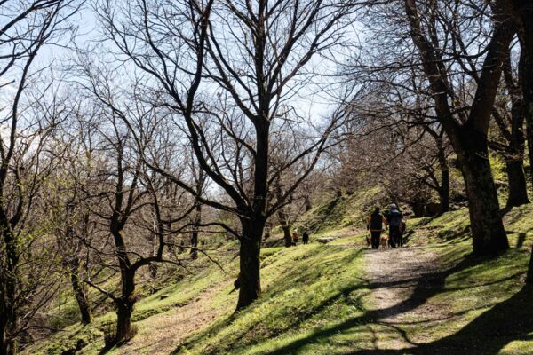 Une rando, quatre châtaigneraies au Tessin