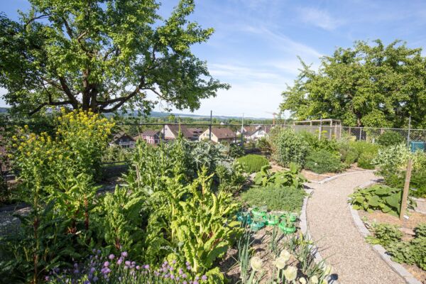 Le jardin thurgovien de Charlemagne