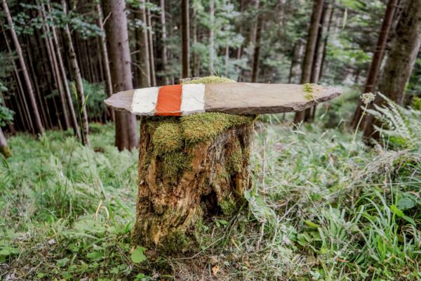 Lichens et téléphériques nidwaldiens