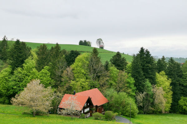 Trainingstour im Appenzeller Vorland