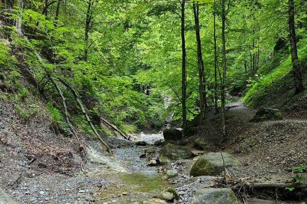 La fraîcheur des gorges de Choleren