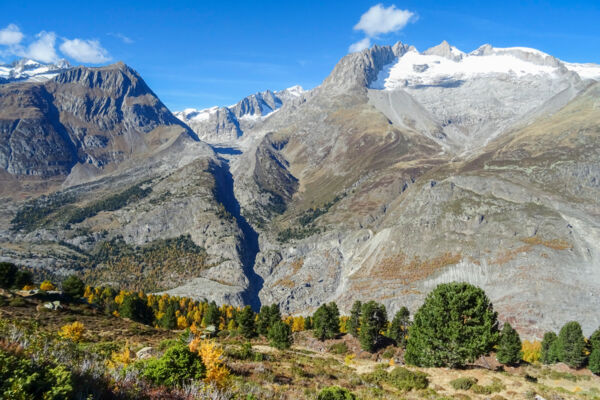 Hoch über dem Aletschgletscher