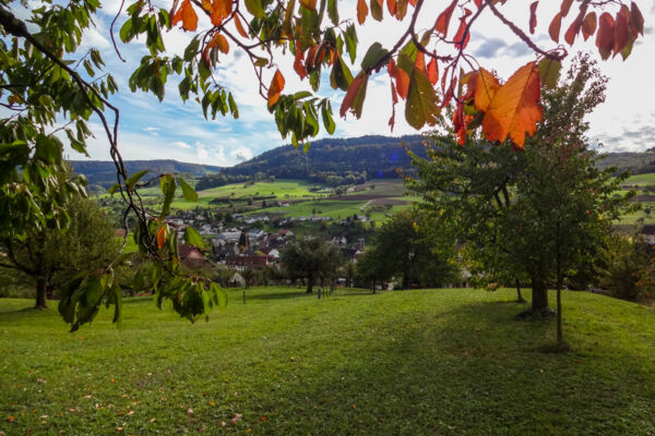 Im Jurapark Aargau
