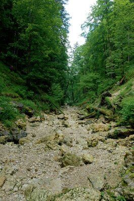 Das Wasser und sein Geheimnis