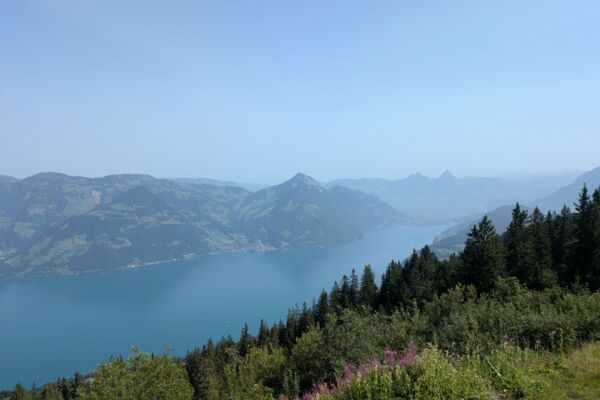 Familienfreundliche Wanderung um den Klewenstock