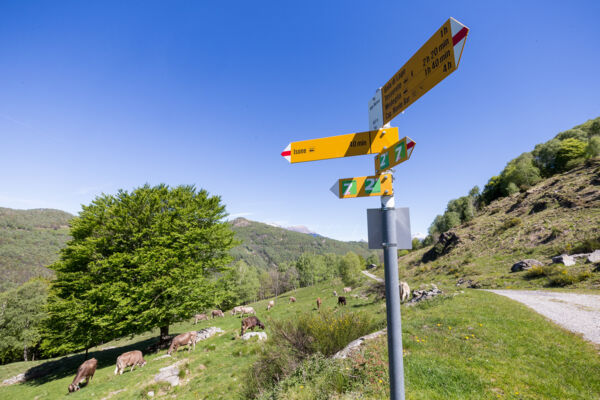 Nella valle del Vedeggio verso Tesserete
