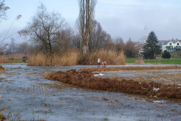 Quiétude hivernale près du lac de Hallwil