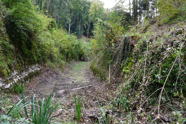 Schiffskanal im Märchenwald