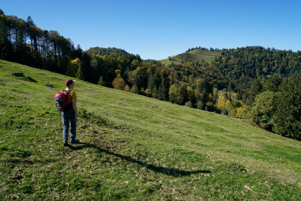 Du côté saint-gallois du Tössbergland