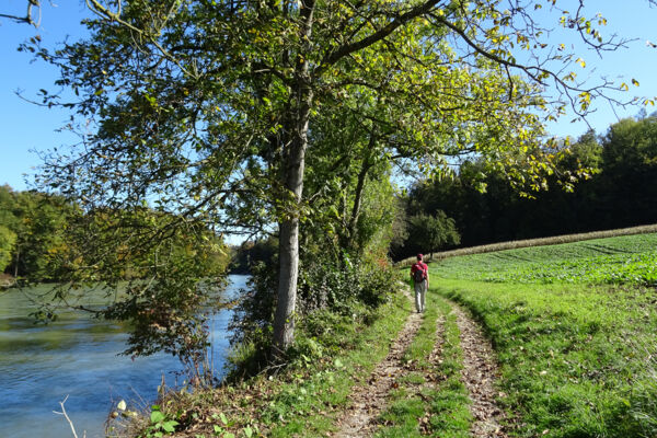 Paisibles paysages du Mittelland