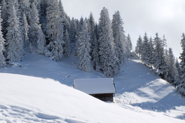 Randonnée en raquettes au Rigi Scheidegg