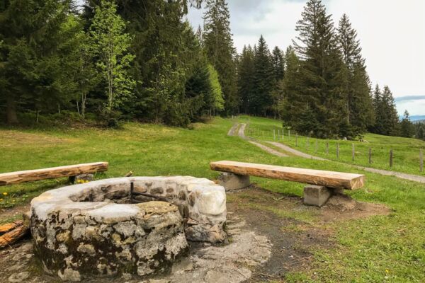 Vom Ägerisee hinauf zu den Hochmooren