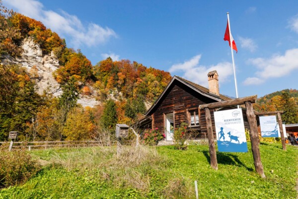 Le Chablais, pays de châtaignes