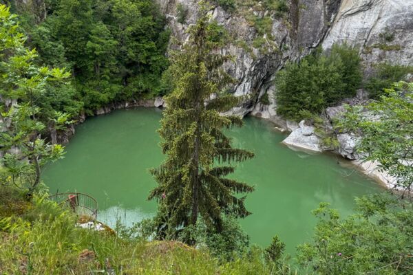 Selves de châtaigniers et pont suspendu