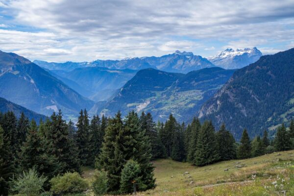 A la rencontre du Verbier sauvage