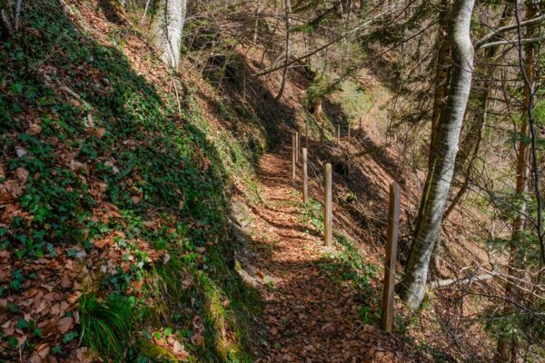 Cultura della costruzione autoctona nel Basso Simmental