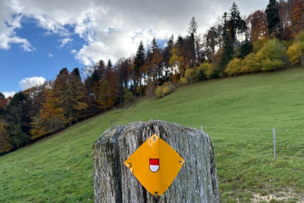 Über die Krete des Fringelibergs