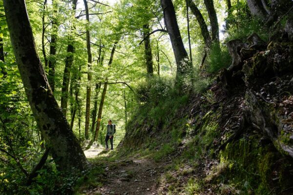 Leçon d’histoire entre Miglieglia et Breno
