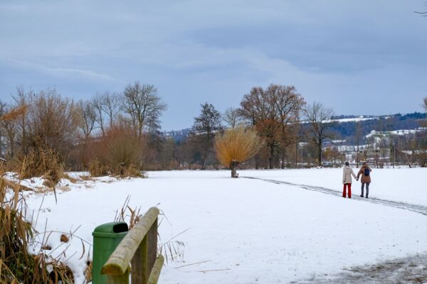 Milde Winde am Baldeggersee
