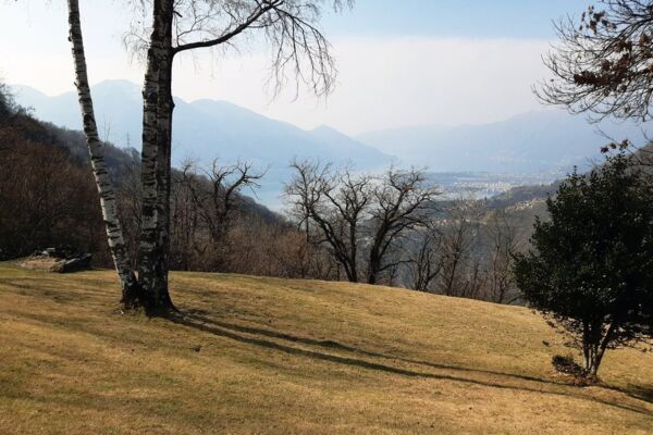 Contra - Monti di Motti - Tenero