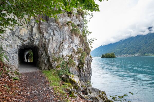 Tous les trésors de la Schweibenalp