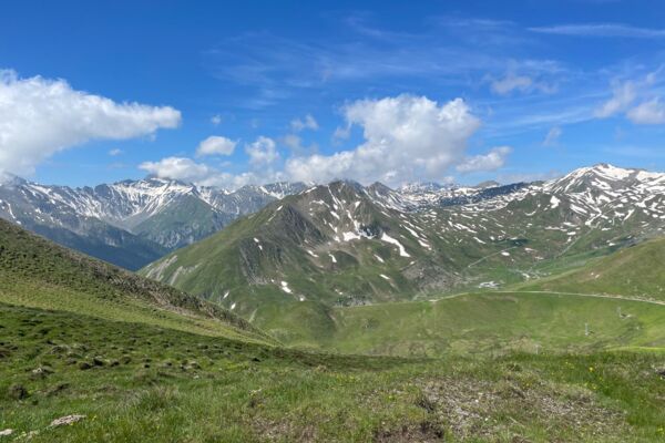Cueillette de ciboulette sauvage à Samnaun