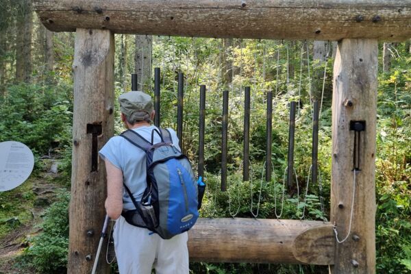 Klangweg Toggenburg - Wanderung für Augen und Ohren