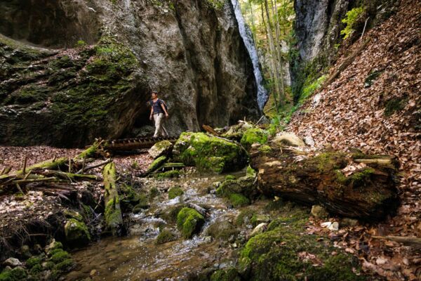 Auf Käfersafari oberhalb von Welschenrohr