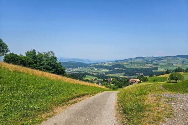 Durch die kühle Cholereschlucht