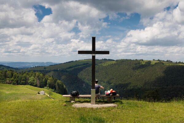 À la découverte des coléoptères au-dessus de Welschenrohr